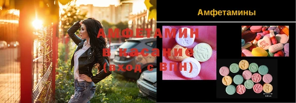 хмурый Алексин