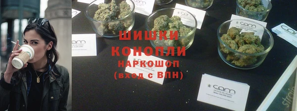 индика Алзамай