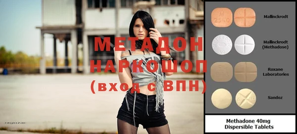 индика Алзамай