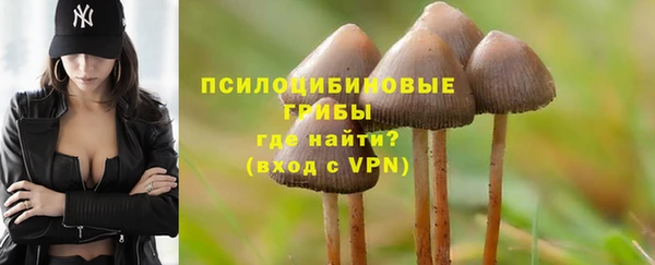 круглые Алексеевка
