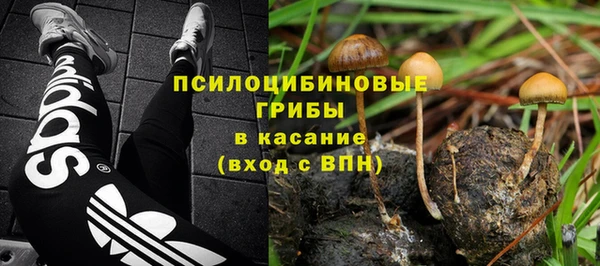 хмурый Алексин