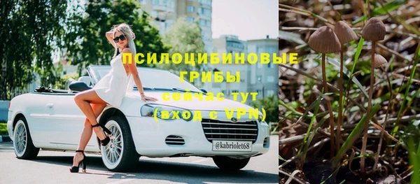 индика Алзамай