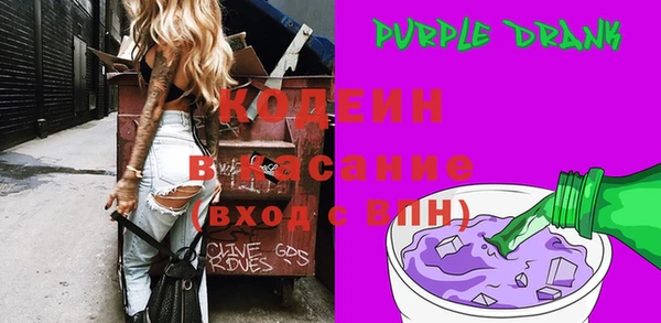 индика Алзамай