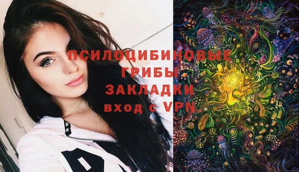 гашик Пестово