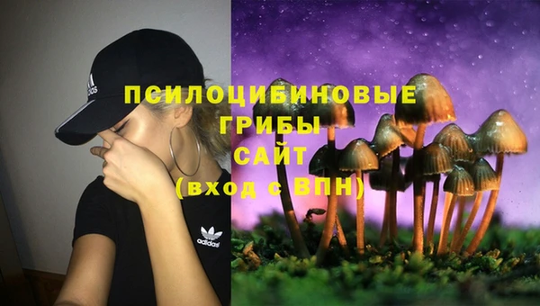трава Аркадак
