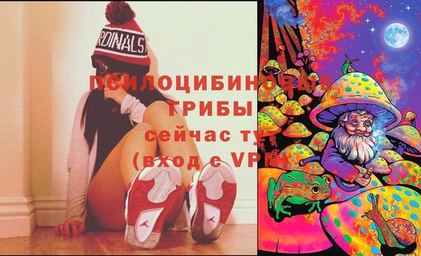 круглые Алексеевка