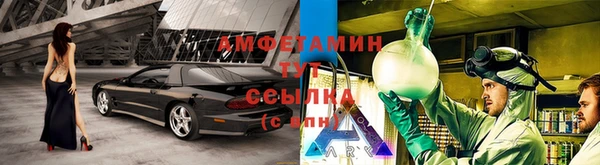 индика Алзамай