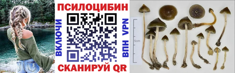 Галлюциногенные грибы MAGIC MUSHROOMS  Артёмовск 